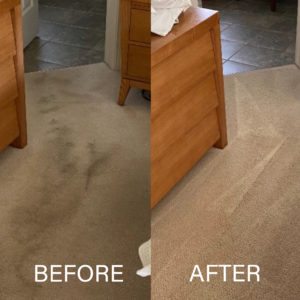 Carpet & Upholstery Cleaning Solutions - DryMaster® Systems - DryMaster  Systems